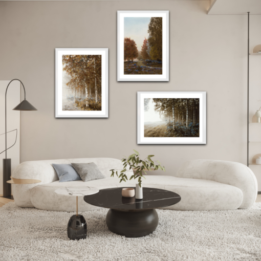 Three posters with birch trees