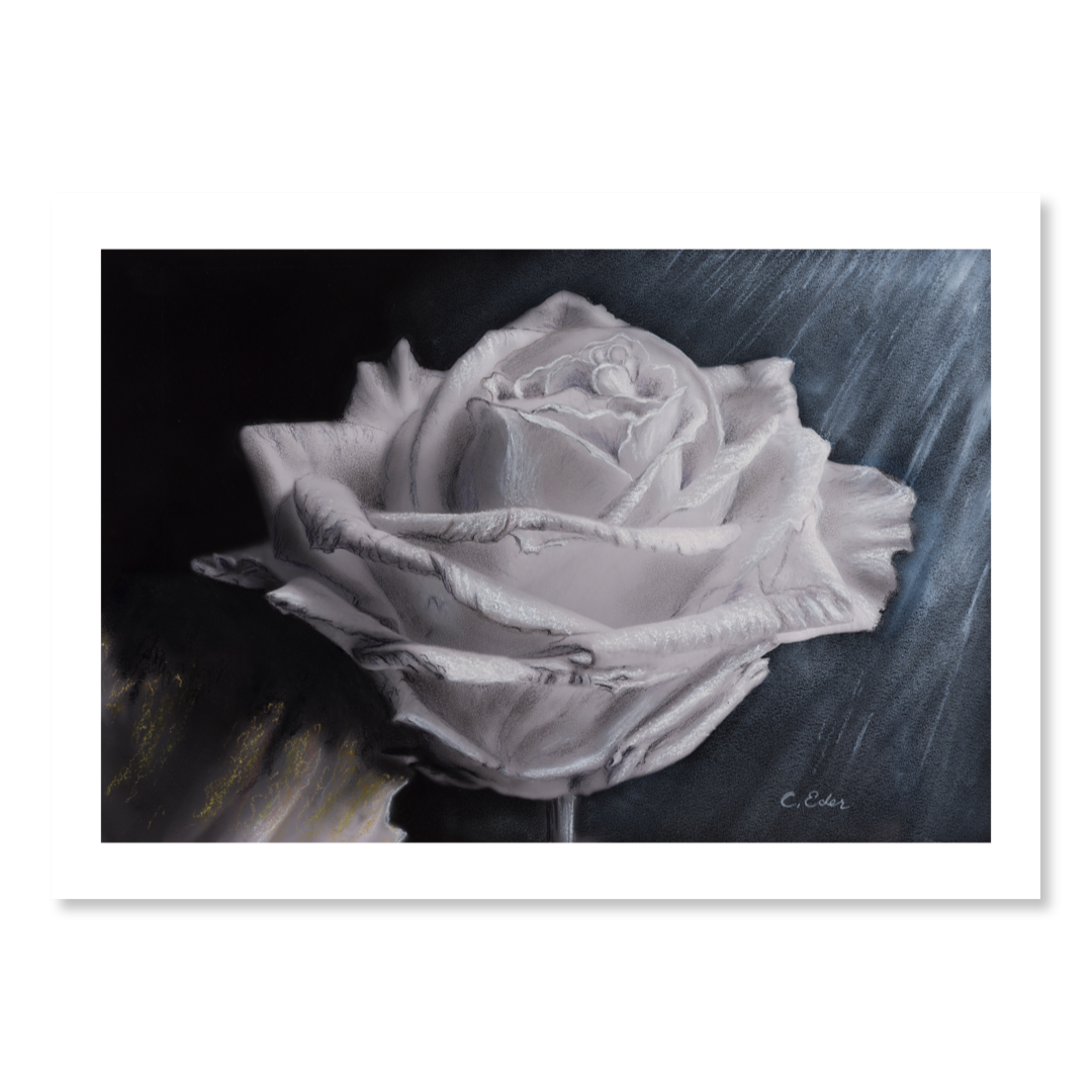 A poster with a white rose