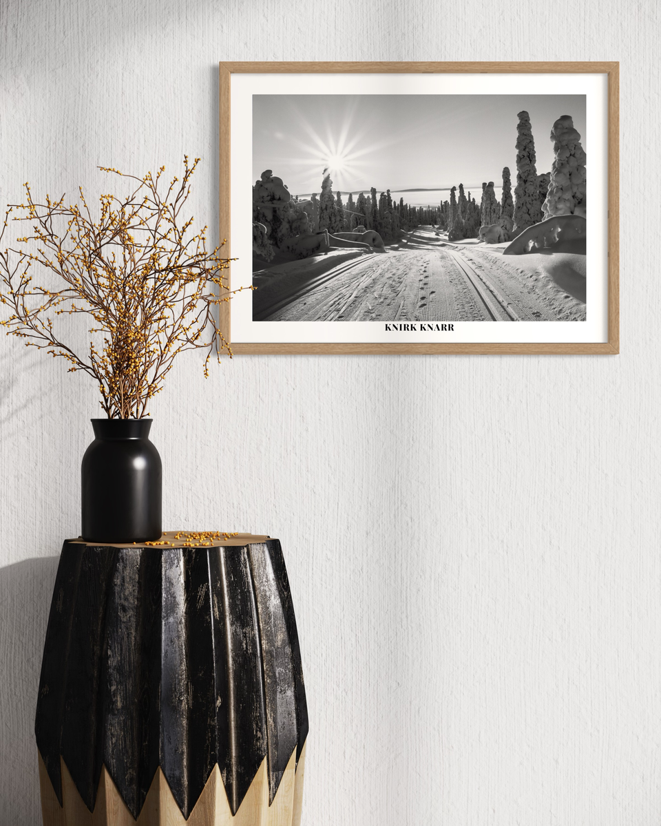 A poster with a winter landscape